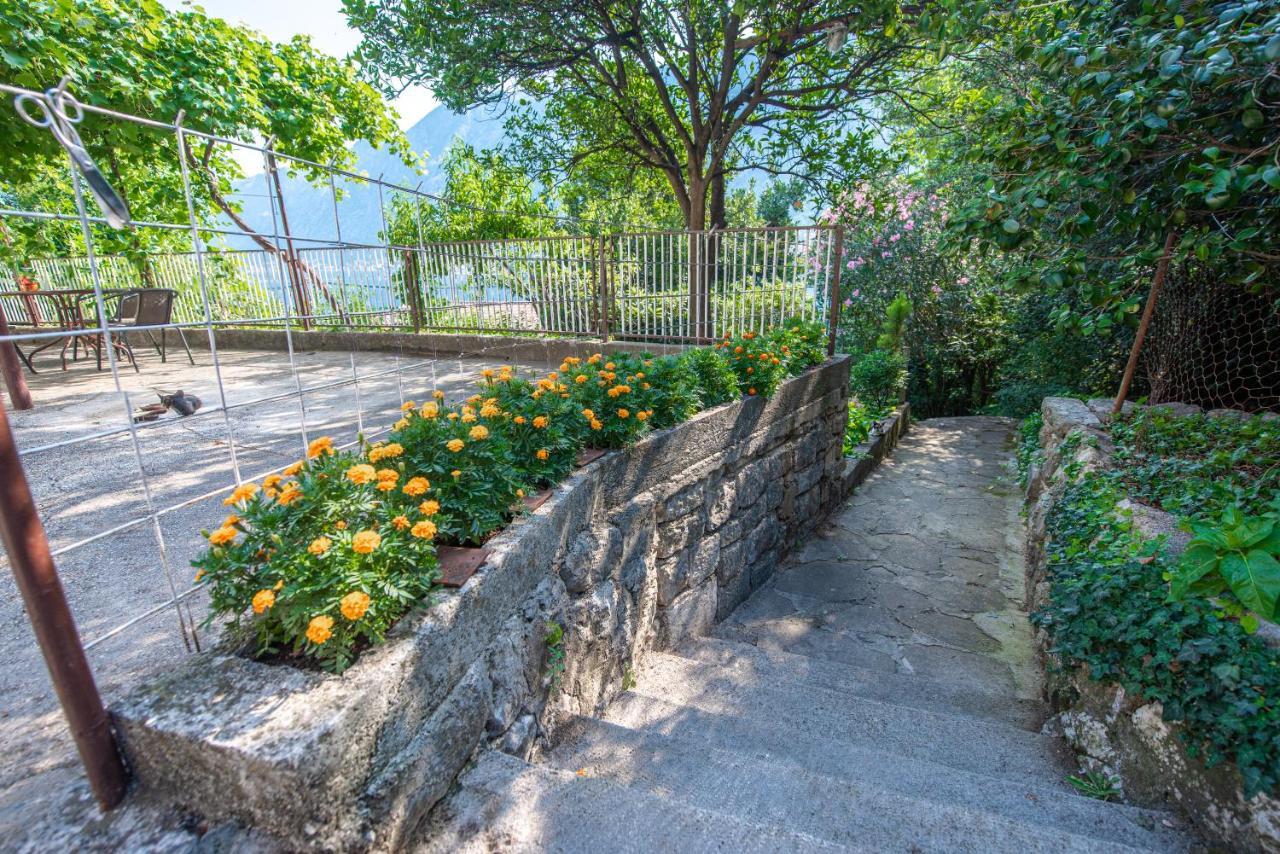 Barbara101 Apartment Kotor Exterior photo