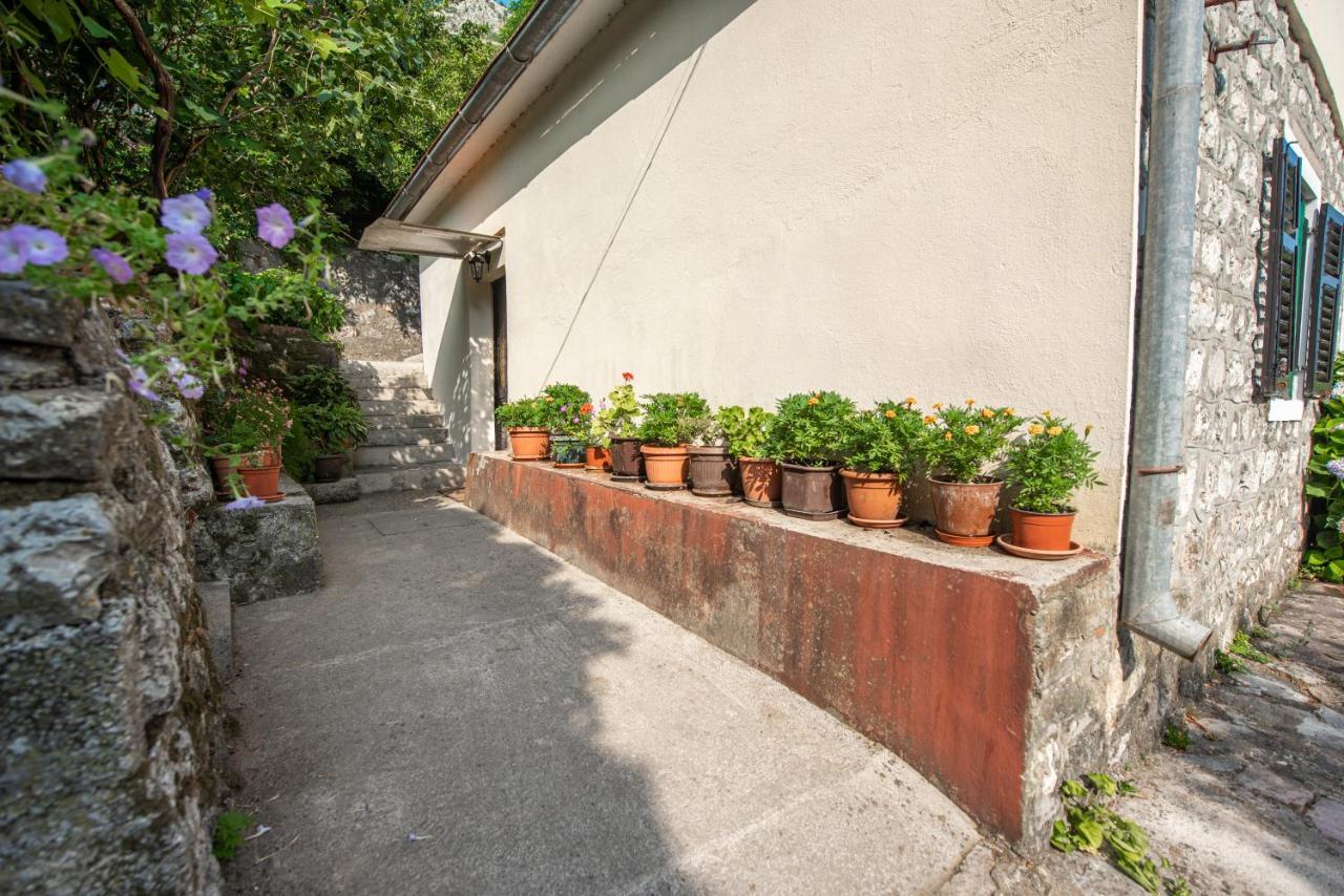 Barbara101 Apartment Kotor Exterior photo