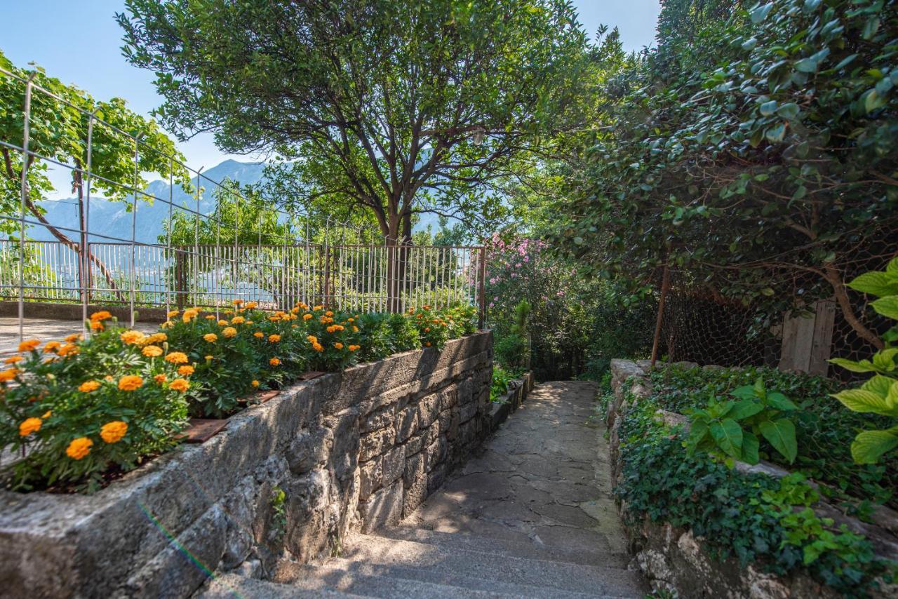 Barbara101 Apartment Kotor Exterior photo